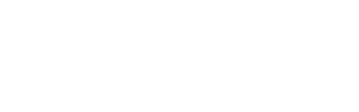 IMPIC